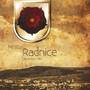 DVD Radnice